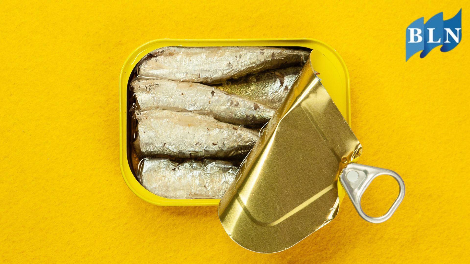 Sardines, Small Fish with Big Nutrition